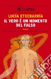 Il vero è un momento del falso. E-book. Formato EPUB ebook di Lucía Etxebarría