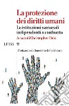 La protezione dei diritti umaniLe istituzioni nazionali indipendenti a confronto. E-book. Formato EPUB ebook di Christopher Hein