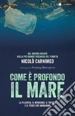 Come è profondo il mare: Dal nostro inviato nella più grande discarica del pianeta. La plastica, il mercurio, il tritolo e il pesce che mangiamo. E-book. Formato EPUB