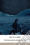 Sul mio cammino pioggia di stelle. E-book. Formato EPUB ebook di Maria Luisa Barontini
