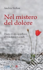 Nel mistero del dolore: Diario di un cappellano al Policlinico Gemelli. E-book. Formato EPUB