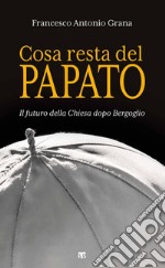 Cosa resta del papato: Il futuro della Chiesa dopo Bergoglio. E-book. Formato EPUB ebook