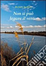 Non si può legare il vento. E-book. Formato EPUB ebook