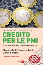 La guida del Sole 24 ORE al credito per le PMI. E-book. Formato PDF