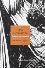 Stati d'eccezione: cosa sono le micronazioni. E-book. Formato EPUB ebook