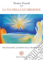 La via della guarigionePer diventare alchimisti delle proprie vite. E-book. Formato PDF