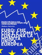 EURO: che cos'è e come funziona la moneta unica europeaPerché è nato l'euro e come funziona: un approccio semplice alla moneta unica europea. E-book. Formato EPUB ebook