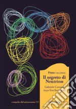 Il segreto di neutrino. E-book. Formato PDF