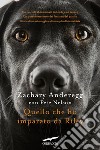 Quello che ho imparato da Riley. E-book. Formato EPUB ebook