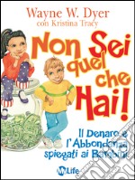 Non sei quel che hai: Il Denaro e l'Abbondanza spiegati ai Bambini. E-book. Formato EPUB