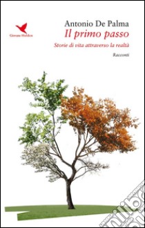 Il primo passoStorie di vita attraverso la realtà. E-book. Formato EPUB ebook di Antonio De Palma