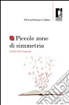 Piccole zone di simmetria. Scrittori del Novecento. E-book. Formato EPUB ebook