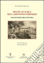 Mulini ad acqua dell'appennino modenese: I bacini di Panaro e Ecchia. E-book. Formato PDF ebook