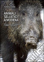 Animali selvatici a Modena: Piccola guida per conoscerli e capirne la gestione. E-book. Formato PDF