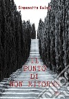 Il punto di non ritorno. E-book. Formato EPUB ebook