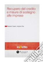 Recupero del credito e misure di sostegno alle imprese. E-book. Formato PDF ebook