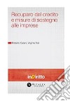 Recupero del credito e misure di sostegno alle imprese. E-book. Formato PDF ebook