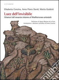 Luce dell’invisibileIntinerari del mosaico intorno al Mediterraneo orientale. E-book. Formato EPUB ebook