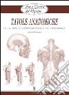 Arte e Tecnica del Disegno - 15 - Tavole anatomiche: La struttura osteo-artro-miologica del corpo umano. E-book. Formato EPUB ebook di Giovanni Civardi