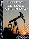 Il sole nel pozzo. E-book. Formato EPUB ebook di Salvo Figura