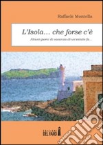 L' isola... che forse c'è. Alcuni giorni di vacanza di un'estate fa.... E-book. Formato Mobipocket