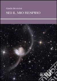 9788865379714