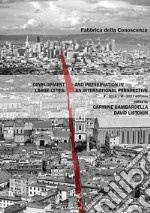 Development and preservation in large cities: an international perspective: V 2016 - VI 2017 editions. E-book. Formato PDF ebook