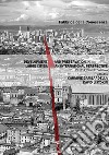 Development and preservation in large cities: an international perspective: V 2016 - VI 2017 editions. E-book. Formato PDF ebook