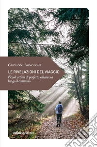 Le rivelazioni del viaggio: Piccoli attimi di perfetta chiarezza lungo il cammino. E-book. Formato EPUB ebook