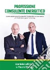 Professione Consulente Energetico. Come raggiungere il sogno dell’indipendenza  economica entrando nella green economy. E-book. Formato PDF ebook