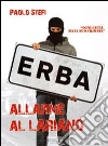 Allarme al Lariano. E-book. Formato Mobipocket ebook di Paolo Stefi
