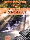 Le acque a luce bianca. E-book. Formato EPUB ebook di Cristina Cassanelli