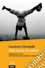 Che razza di calcio. E-book. Formato EPUB ebook