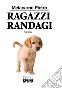 Ragazzi randagi. E-book. Formato EPUB ebook