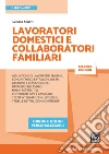 Lavoratori domestici e collaboratori familiari. E-book. Formato PDF ebook di Luciano Alberti