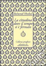 La cittadina dove il tempo si è fermato. E-book. Formato EPUB ebook