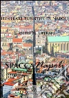 Itinerari turistici di Napoli - 1 SpaccaNapoli. E-book. Formato EPUB ebook di Luigi Abetti