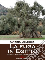 La fuga in Egitto. E-book. Formato EPUB ebook