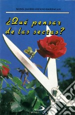 ¿Qué pensar de las sectas?. E-book. Formato PDF ebook