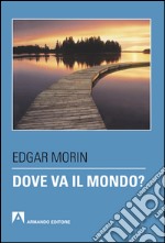 Dove va il mondo?. E-book. Formato EPUB ebook