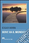 Dove va il mondo?. E-book. Formato EPUB ebook