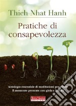 Pratiche di consapevolezzaAntologia essenziale di meditazioni per vivere il momento presente con gioia e felicità. E-book. Formato EPUB ebook