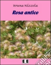 Rosa antico. Una storia del primo Novecento. E-book. Formato Mobipocket ebook di Bruna Nizzola