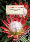 Le piante per la casa: Le regole del giardinaggio in pantofole. E-book. Formato PDF ebook