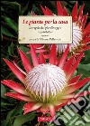 Le piante per la casa: Le regole del giardinaggio in pantofole. E-book. Formato EPUB ebook