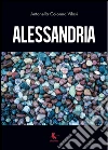 Alessandria. E-book. Formato PDF ebook