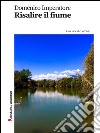 Risalire il fiume. E-book. Formato EPUB ebook di Domenico Imperatore