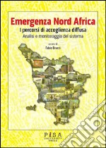 Emergenza Nord Africa: I percordi di accoglienza diffusa. Analisi e monitoraggio del sistema. E-book. Formato PDF