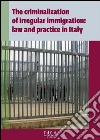 The criminalization of irregular immigration: law and practice in Italy. E-book. Formato PDF ebook di Alberto Di Martino