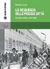 La resilienza delle piccole cittàRiflessioni teoriche e casi di studio. E-book. Formato PDF ebook